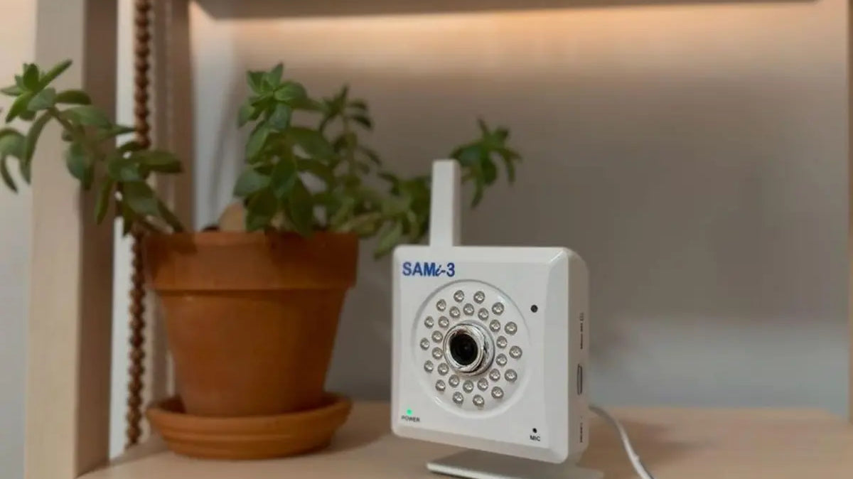 sleep movement monitor